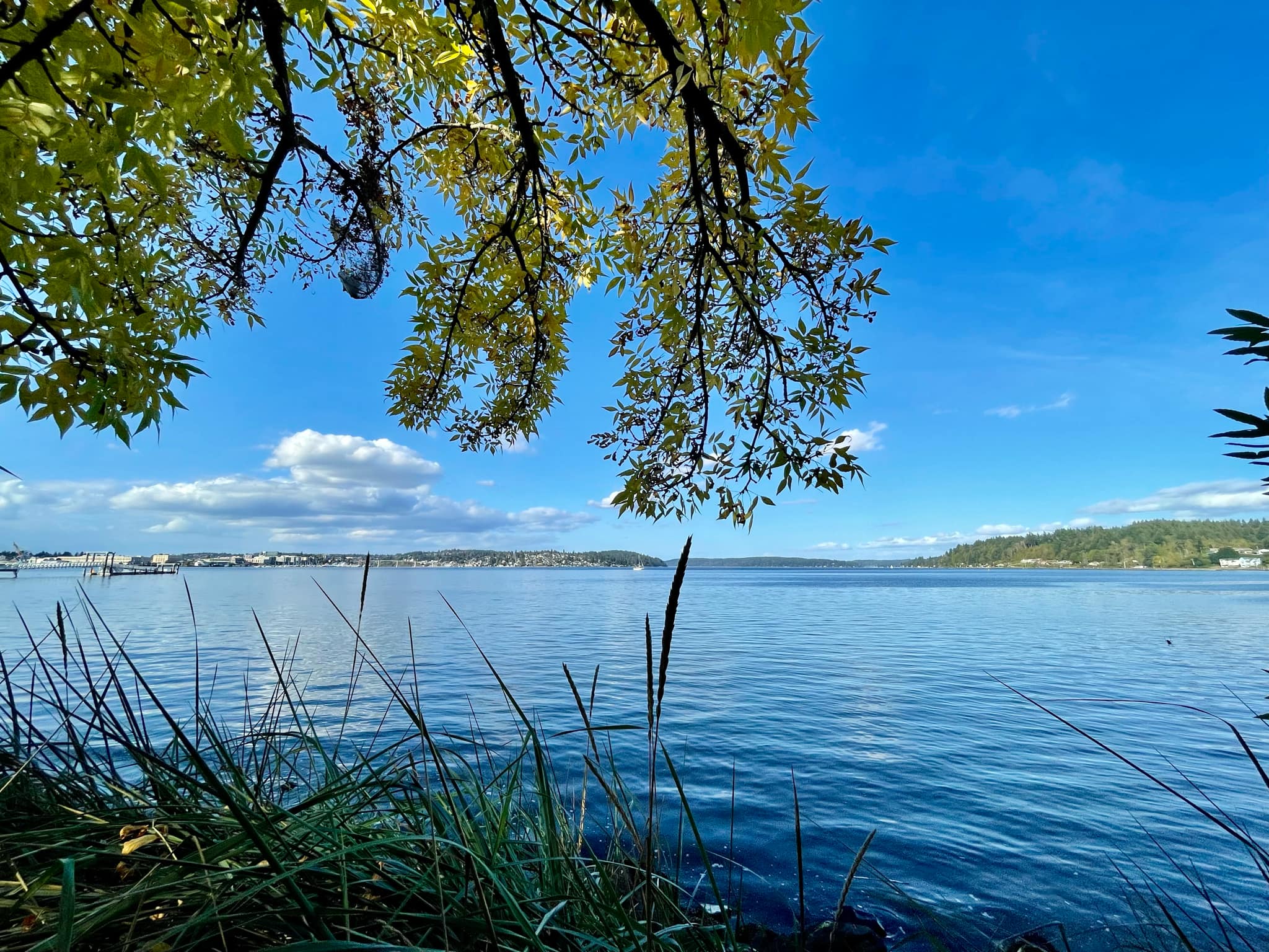 Tranquil lake in South Kitsap